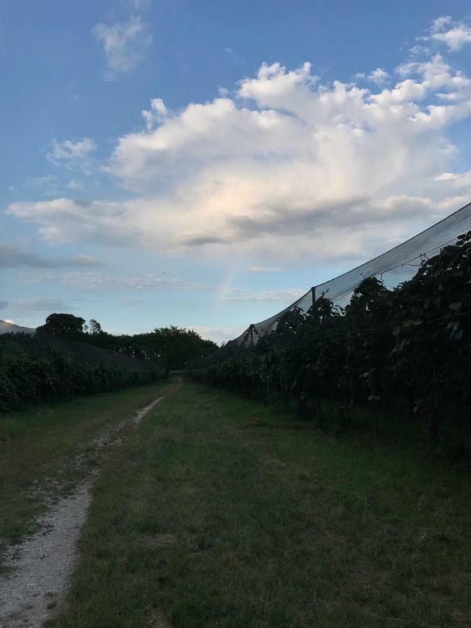 Bed and Breakfast Al Bagolaro Crocetta del Montello Zewnętrze zdjęcie